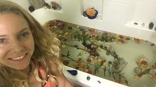 @trinamason LIVE EMPATH INTUITIVE HOPI RAINBOW WARRIOR ANCESTRAL ETHER JUNE 24 2019 9:18PM HEAL asmr