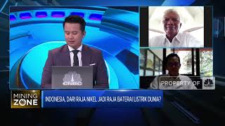 Mulai Produksi Katoda Baterai, RI Jadi Raja Baterai Listrik Dunia?
