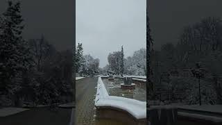 из Запорожья куда дальше???26.11.2022