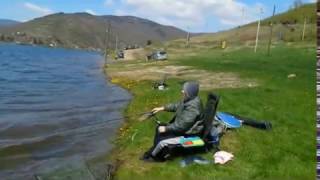 Feeder Bovan 09.04.2017