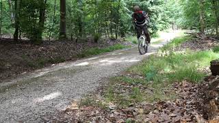 E-Bike im Wald