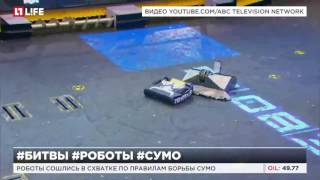 Роботы сошлись в схватке по правилам борьбы сумо