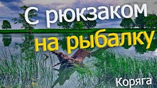 Русская Рыбалка Installsoft Edition 3.7.6  Амур - КВ: Коряга