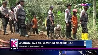 ANJING K9 JADI ANDALAN PENCARIAN KORBAN