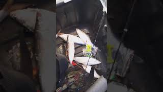 Рыбалка в мобильной палатке на санях