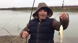 araz cayi qisin oqlan caqinda baliqda 2018 г.