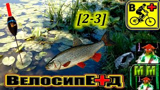 [2-3] Велопоход с ночёвкой в палатке NatureHike Taga. Готовлю прикормку и ловлю рыбу в реке ☯ #ММ ?