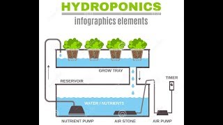 نموذج الزراعة المائية Hydroponic الهيدروبونيك أو الزراعة المائية