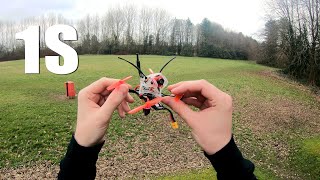 1S Geelang Wasp V2