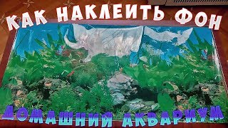 Как приклеить фон на аквариум / Быстро, надёжно, без пузырей