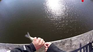 Winter 2018 Crappie Fishing for Large Crappie and Perch
