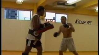 Killer Bee/Purebred Tokyo Gym