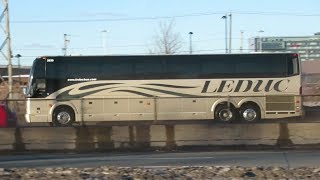 COACHES DRIVING IN MONTREAL / JANUARY - FEBRUARY 2019
