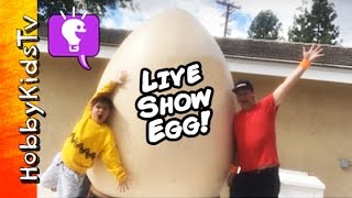 Giant LiVE SHOW Egg + Surprise Toys with HobbyKidsTV
