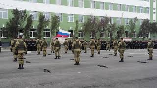 50 лет 810 Обр.МП