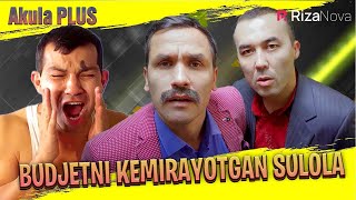 Akula Plus - Budjetni kemirayotgan sulola (hajviy ko'rsatuv)