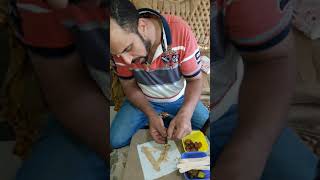 ذبابة الجندى الاسود وسحب البيض من اول حلقه