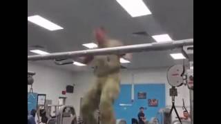 You must watch to how to gym to perpair your body shape