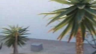Precedent Project - California Scenario