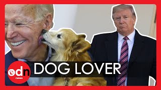 Team Biden Claims Dog Owners Make Better Presidents in New Campaign Ad