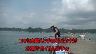にゃんたの釣り生活IIN富浦漁港　クロダイ狙い　ケイセン　メジナ　サヨリ　サバ　房総半島　内房　館山　外房　フカセ釣り　ケーセン　カニ網　入れ食い　多田良北浜海岸キャンプ場