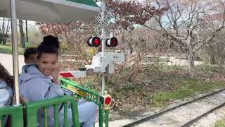 CincinnatiZoo - Twitch Stream March 20 2024