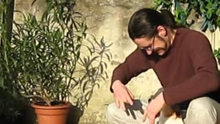 Il mio video modificato