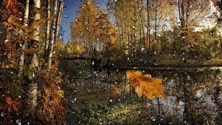 Витас. Лист осенний. Видео.