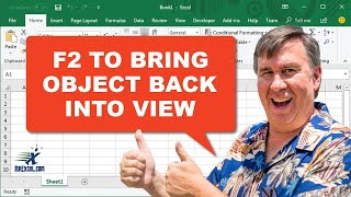 F2 To Bring Selected Object Back Into View in Excel - 2471