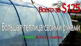 Огромная теплица своими руками за $125