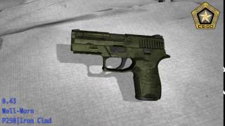 P250  Iron Clad Wear/Float