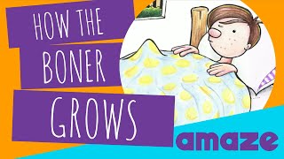 What's a Boner? Facts about Boners and Puberty for Guys