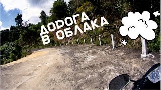 ХОН БА | ДОМ ЕРСИНА | Нячанг, Вьетнам