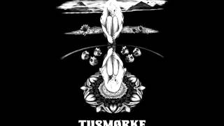 Tusmørke - Black Swift (Riset bak speilet, 2014)