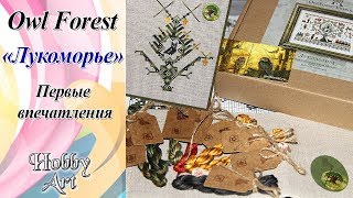 Начинаю "Лукоморье" от Owl Forest / Обзор / Организация / Первые впечатления