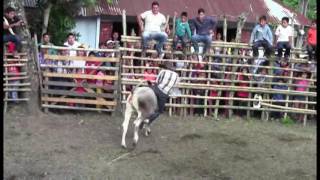 el saltador jaripeo ranchero en san juan otontepec