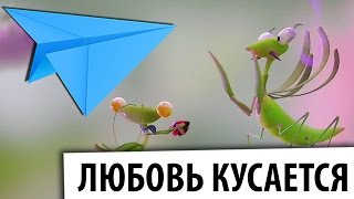 Любовь кусается - Lovebites - короткометражный мультфильм про любовь