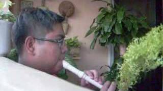 Harry Potter on the Recorder