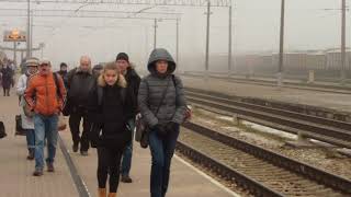 Panasonic dmc-tz55 video test