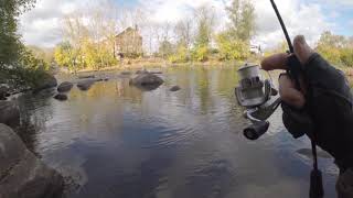 Daiwa IPRIMI 60XUL - делаем забросы
