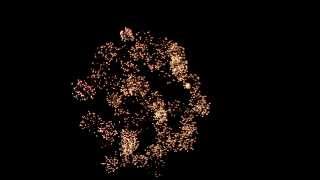 СУ 009 19 Львів