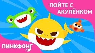 Трио в океане | Акулёнок | Пойте с Акулёнком | Пинкфонг Песни для Детей