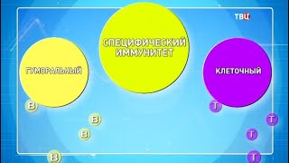 Иммунитет. Доктор И...