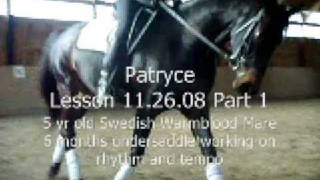 Dressage Lesson 11-26-08 Part 1