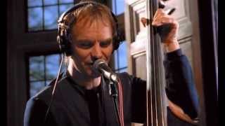 STING She`s Too Good For Me