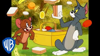 Tom & Jerry in italiano | Andiamo a fare un picnic! 