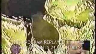 DR JONATHAN REED ALIEN ARTIFACT PART 2
