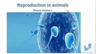 Reproduction in animals for class 8 in hindi