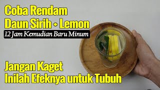 WAJIB TAHU...! EFEK RENDAMAN DAUN SIRIH DAN LEMON UNTUK TUBUH