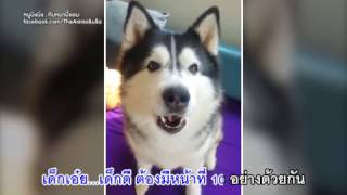 เพลง เด็กเอ๋ย เด็กดี Version Ning Ning